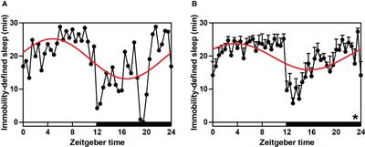 Behavior and physiology in female Cricetulus barabensis are associated with the expression of circadian genes